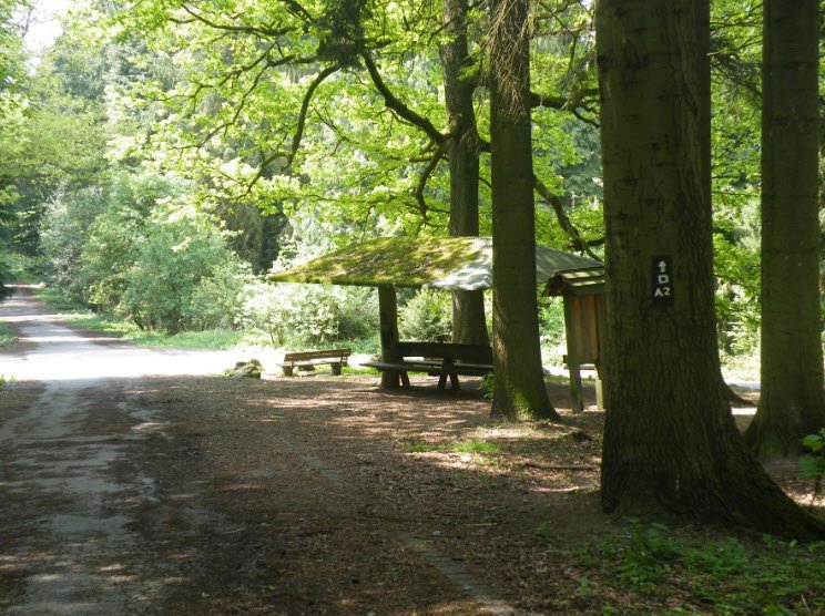 Arboretum Burgholz , Germany